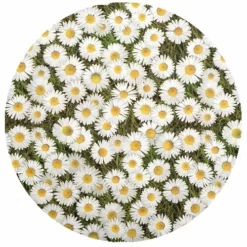 Rond Tafelzeil Madeliefjes (140cm)