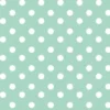Ovaal Tafelzeil Stippen Mint