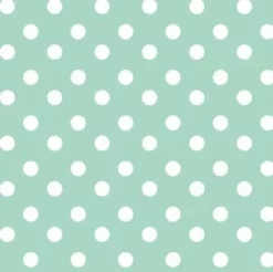 Ovaal Tafelzeil Stippen Mint
