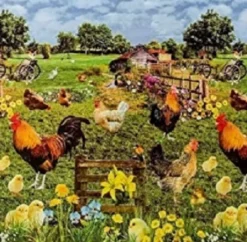 Ovaal Tafelzeil Kippen En Kuikens