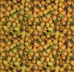 Ovaal Tafelzeil Citroentjes Fris