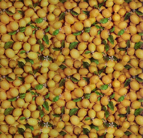 Ovaal Tafelzeil Citroentjes Fris 1 Ovaal Tafelzeil Citroentjes Fris