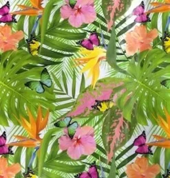 Ovaal Tafelzeil Tropische Vlinder Soorten