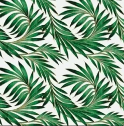 Ovaal Tafelzeil Tropisch Regenwoud