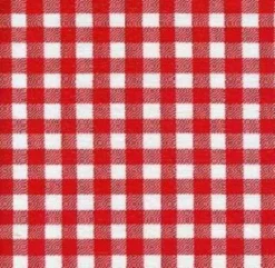 Ovaal Mexicaans Tafelzeil Ruitjes Rood