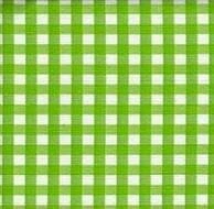 Ovaal Mexicaans Tafelzeil Ruitjes Lichtgroen 1 Ovaal Mexicaans Tafelzeil Ruitjes Lichtgroen