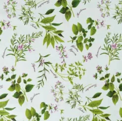 Doorzichtig Tafelzeil Kruidenplant